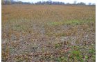 Property photo 55 - 80 Acres & Home - Property Offered in 4 Tracts from 2.3 to 30.0 Acres